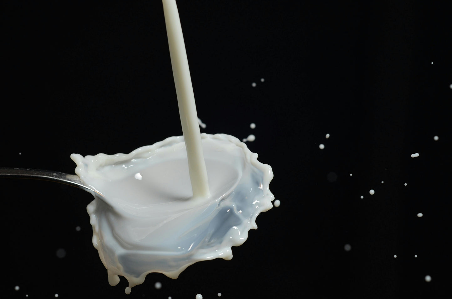 NEU!! ALEPPO SEIFE MILCH & HONIG *Einführungsangebot/unverpackt